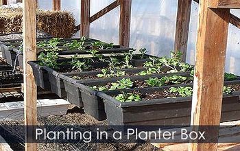 Planting a Window Box - How to Plant a Panter Box