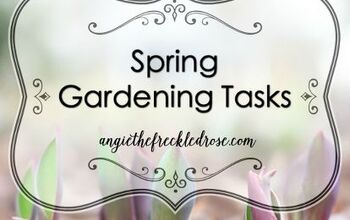  tarefas de jardinagem de primavera