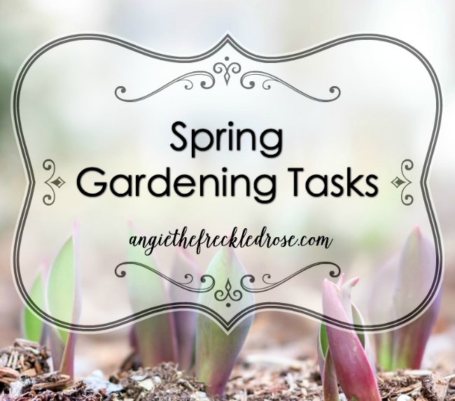tareas de jardinera de primavera
