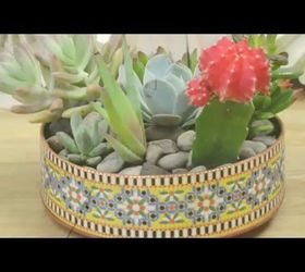 Diy Mini Succulent Garden Hometalk