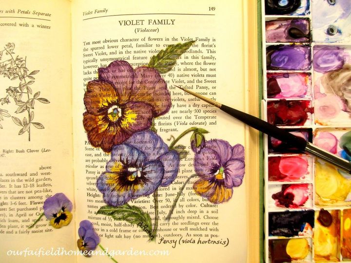 Painting My Garden Our Fairfield Home And Garden Hometalk