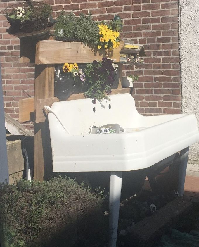 the old kitchen sink, container gardening, gardening, outdoor furniture, repurposing upcycling, Recently planted annuals side view