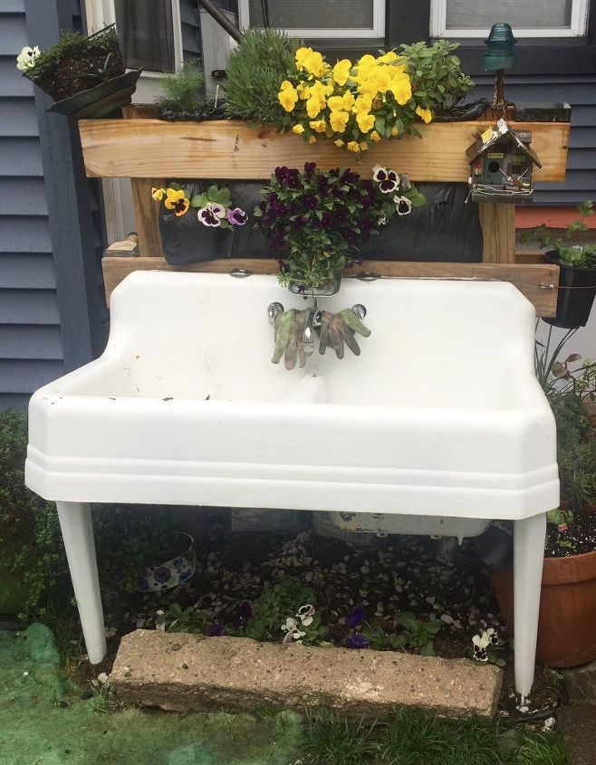 the old kitchen sink, container gardening, gardening, outdoor furniture, repurposing upcycling, Full View Shade plants recently planted