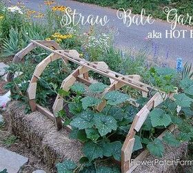 straw bale garden aka hot bed, diy, gardening, go green, homesteading, raised garden beds