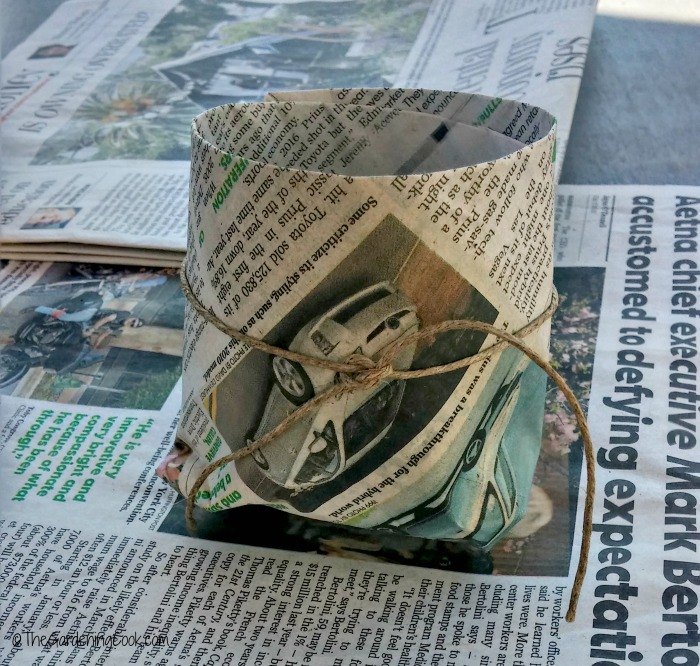 make your own diy newspaper seed pots, container gardening, crafts, gardening, how to, repurposing upcycling