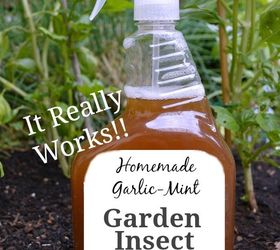 s 12 genius hacks for a pest free garden, pest control, Spray garlic and mint over the leaves