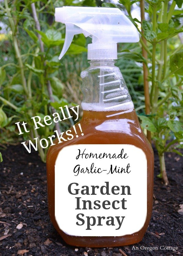 12 truques geniais para um jardim livre de pragas, Um spray de insetos de jardim DIY org nico que funciona
