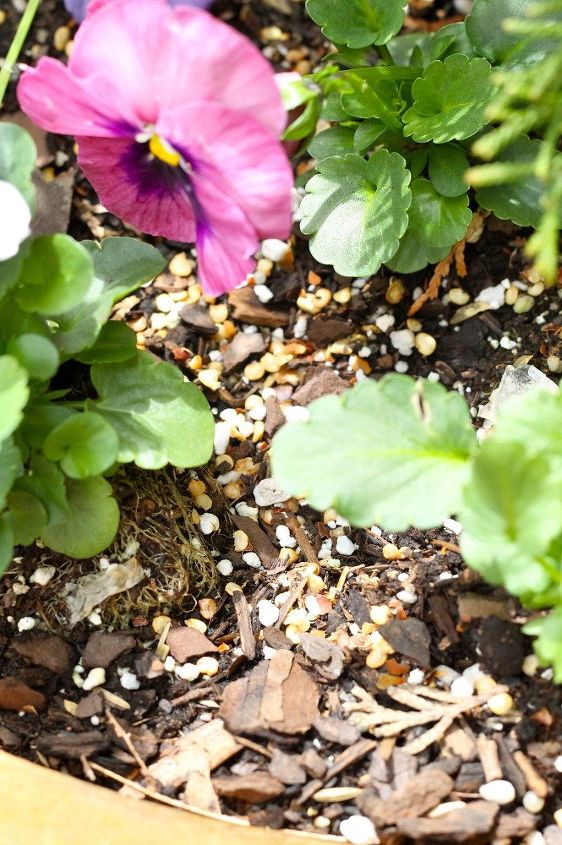 12 truques geniais para um jardim livre de pragas, Como manter esquilos fora de vasos de flores