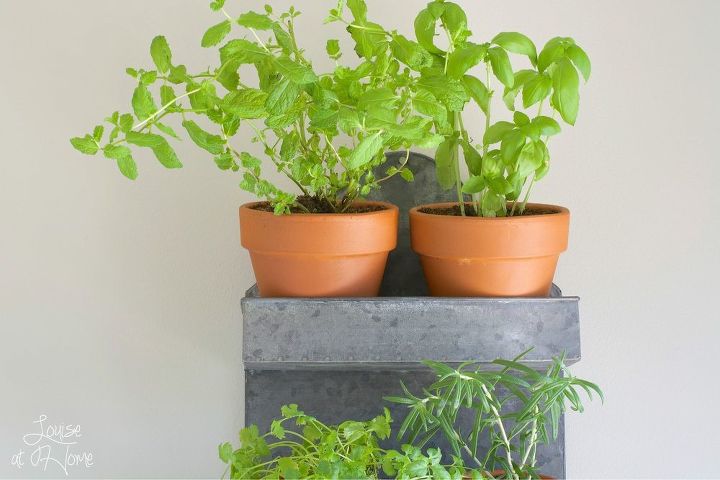 hanging indoor herb garden, container gardening, gardening, wall decor