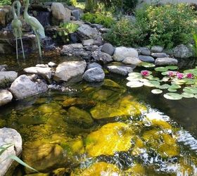 will a skimmer reduce maintenance for my small pond, gardening, ponds water features