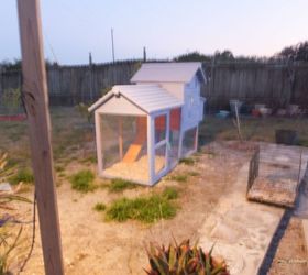 every home needs curb appeal, curb appeal, homesteading, The chicken coop before a little landscaping