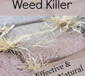 diy weed killer, gardening, go green, pest control