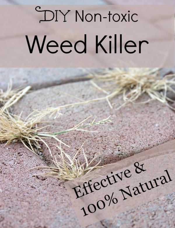 diy weed killer, gardening, go green, pest control