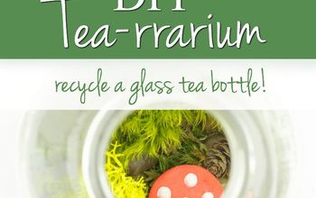  DIY Tea-rrarium
