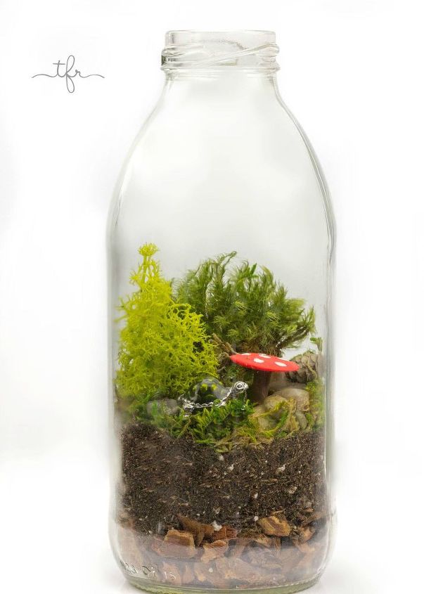 diy tea rrarium, crafts, gardening, how to, repurposing upcycling, terrarium