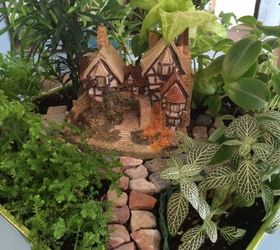 open terrariums and fairy gardens, crafts, gardening, terrarium