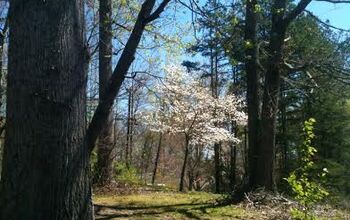  Coroas de flores naturais... Enfeite a primavera nas montanhas GA!
