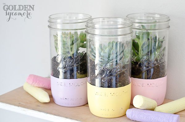s the 15 tiniest succulent ideas we ve ever seen, flowers, gardening, succulents, These light chalky succulent jars