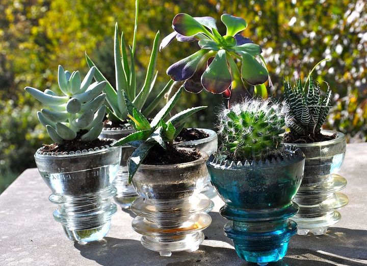 s the 15 tiniest succulent ideas we ve ever seen, flowers, gardening, succulents, Some lil cuttings nested in glass insulators