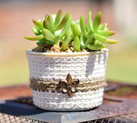 s the 15 tiniest succulent ideas we ve ever seen, flowers, gardening, succulents, This cream cheese container turned tiny pot
