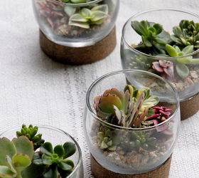 s the 15 tiniest succulent ideas we ve ever seen, flowers, gardening, succulents, These rather small raised succulent glasses