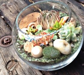 s the 15 tiniest succulent ideas we ve ever seen, flowers, gardening, succulents, This mini succulent forest in a fishbowl