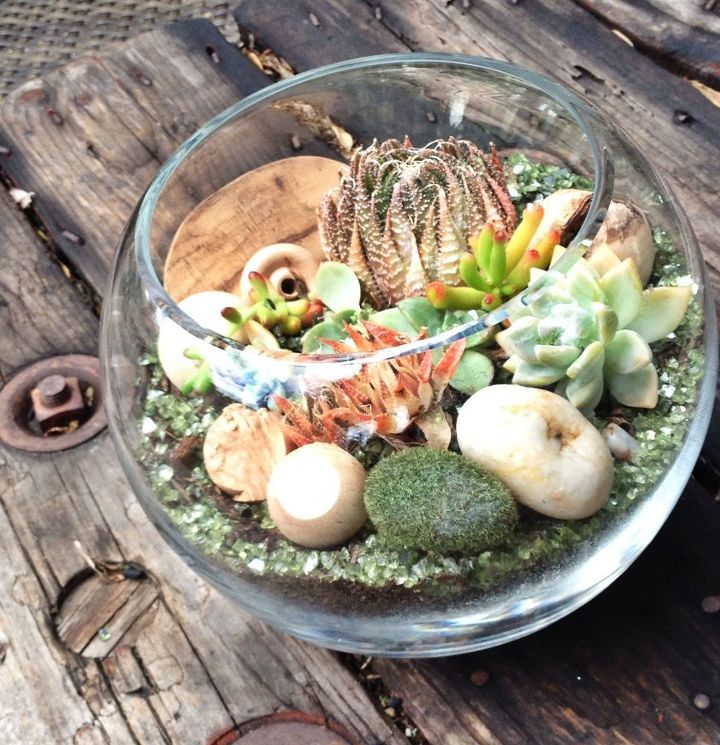 s the 15 tiniest succulent ideas we ve ever seen, flowers, gardening, succulents, This mini succulent forest in a fishbowl