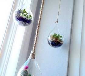 s the 15 tiniest succulent ideas we ve ever seen, flowers, gardening, succulents, These hanging planter globes
