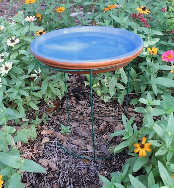 13 awesome ways to reuse a terra cotta saucer, Set one on a tomato cage as a bird bath