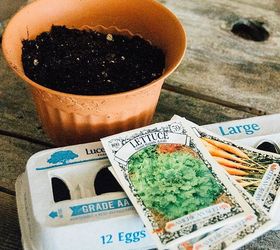 how to plant seedlings in egg cartons, container gardening, gardening, how to, repurposing upcycling