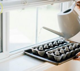 how to plant seedlings in egg cartons, container gardening, gardening, how to, repurposing upcycling
