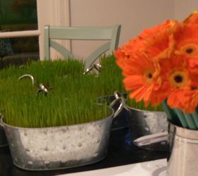 wheat grass centerpieces in 6 days, container gardening, crafts, flowers, gardening, how to