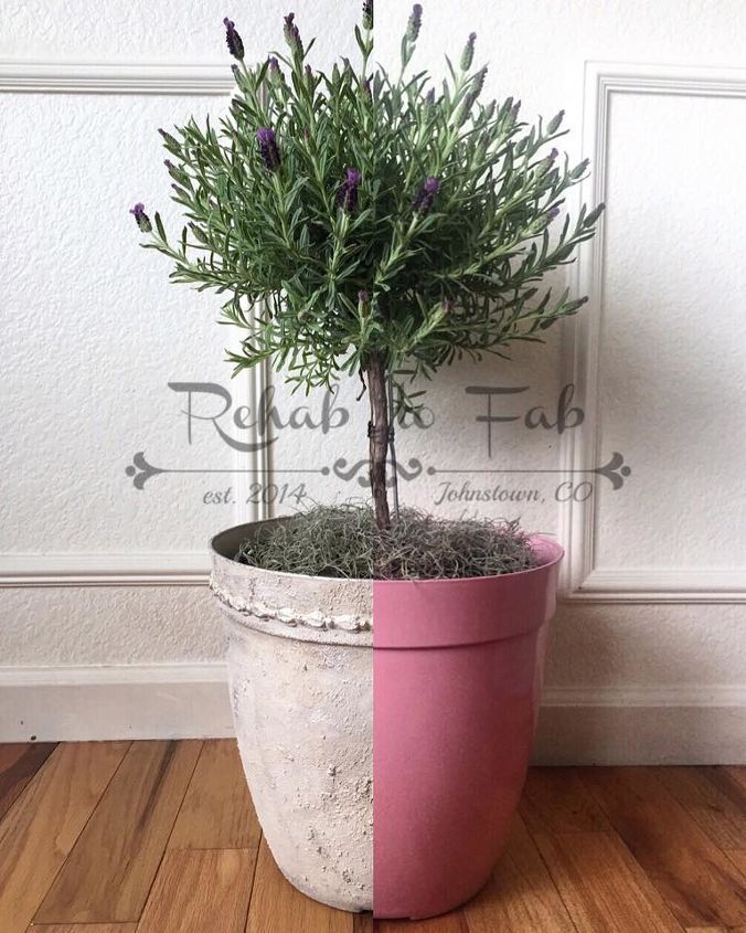 plastic pink flower pot gets a face lift