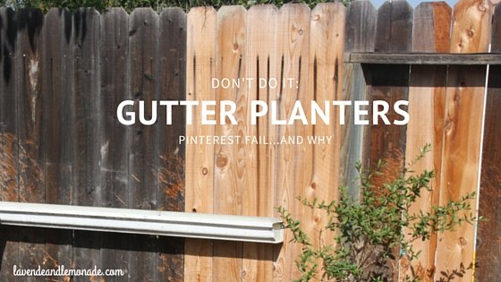 why not to try gutter planters
