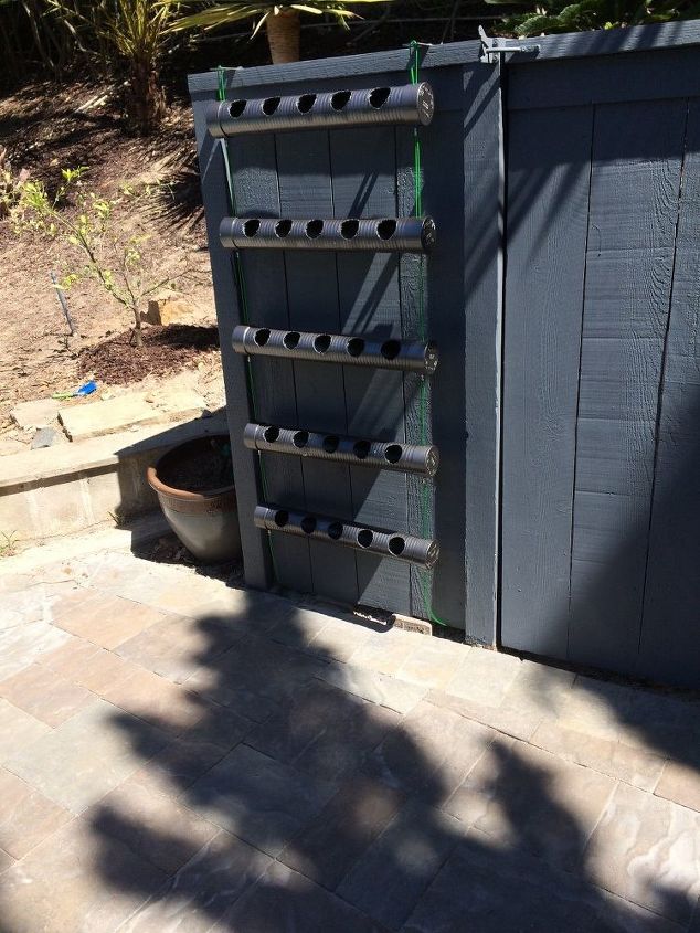 hiding an ugly shed that houses pool equipment