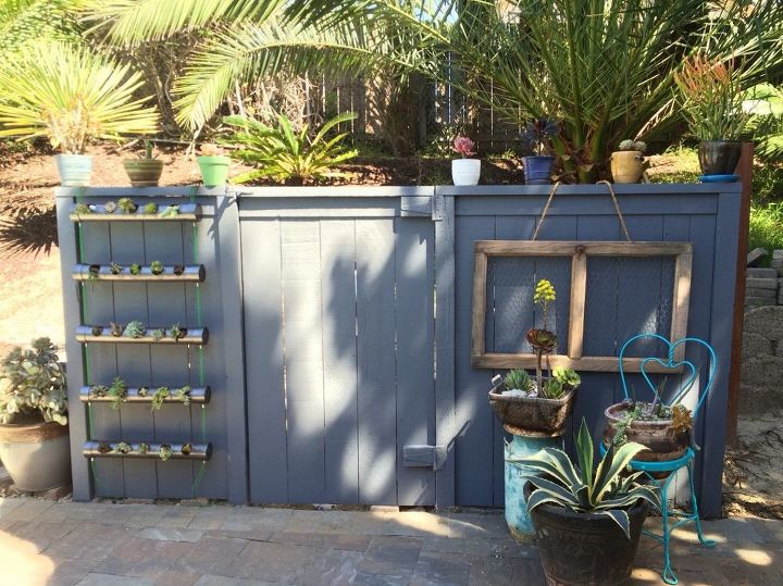 hiding an ugly shed that houses pool equipment , container gardening, flowers, gardening, outdoor furniture, outdoor living, pool designs, repurposing upcycling, succulents