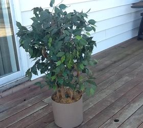 looking for a homemade cleaner for the leaves of this artificial tree, My 8 00 Garage sale find