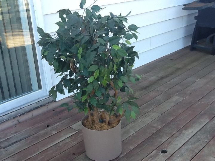 looking for a homemade cleaner for the leaves of this artificial tree, My 8 00 Garage sale find