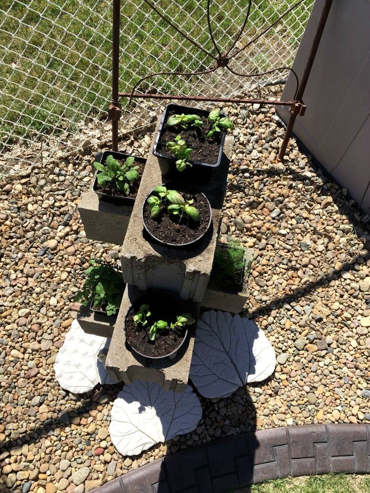10 Genius Ways to Use Cinder Blocks in Your Garden | Hometalk