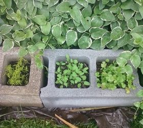 10 genius ways to use cinder blocks in your garden, Use a few as planter garden borders