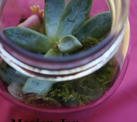 Mossy Mason Jar Terrarium