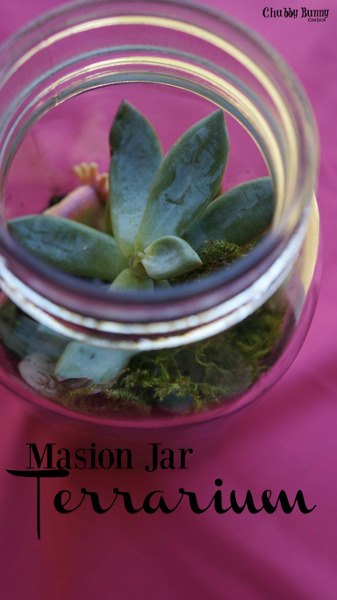 terrario mason jar con musgo