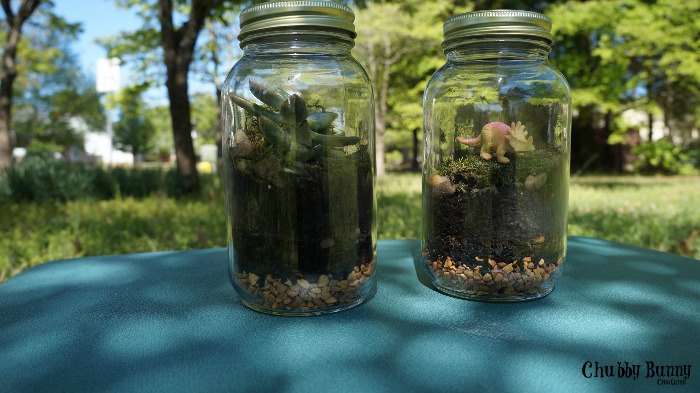 mossy mason jar terrarium, flowers, gardening, mason jars, succulents, terrarium