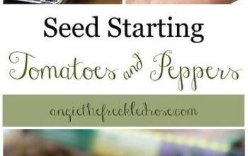  Comece a semear as sementes