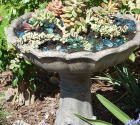 up cycled fountain, container gardening, flowers, gardening, repurposing upcycling, succulents
