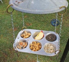 s 17 adorable birdfeeders using things you already own, outdoor living, repurposing upcycling, Use an old retired cupcake tin