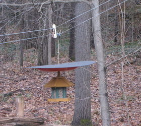s 17 adorable birdfeeders using things you already own, outdoor living, repurposing upcycling, Use a saucer sled for a squirrel free feeder