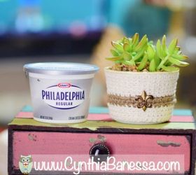 s the 15 most brilliant uses people came up with for plastic containers, container gardening, repurposing upcycling, storage ideas, Nest succulents in a cleaned cream cheese tub