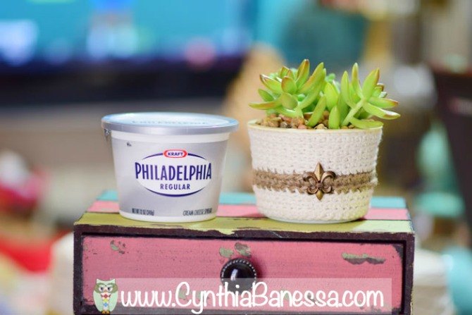 s the 15 most brilliant uses people came up with for plastic containers, container gardening, repurposing upcycling, storage ideas, Nest succulents in a cleaned cream cheese tub
