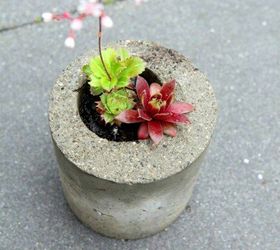 s the 15 most brilliant uses people came up with for plastic containers, container gardening, repurposing upcycling, storage ideas, Turn reusable containers into planter molds